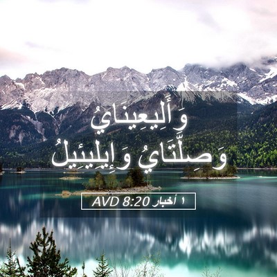 Picture 05 - ١ أخبار 8:20 AVD - وَأَلِيعِينَايُ - Bible Verse Picture