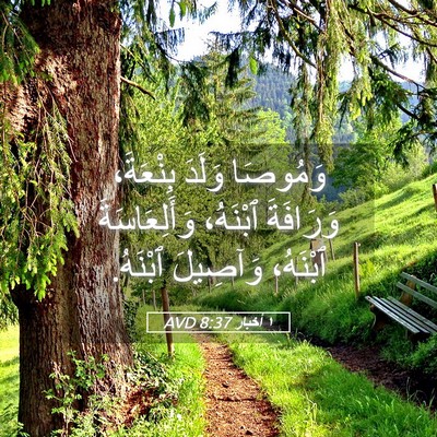 Picture 05 - ١ أخبار 8:37 AVD - وَمُوصَا وَلَدَ بِنْعَةَ، - Bible Verse Picture