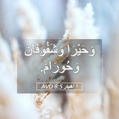 Picture 05 - ١ أخبار 8:5 AVD - وَحَيْرَا وَشَفُوفَانَ - Bible Verse Picture