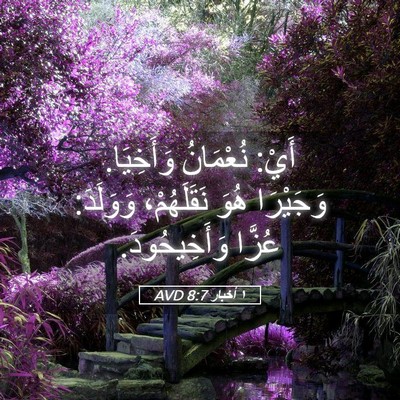 Picture 05 - ١ أخبار 8:7 AVD - أَيْ: نُعْمَانُ وَأَخِيَا. - Bible Verse Picture