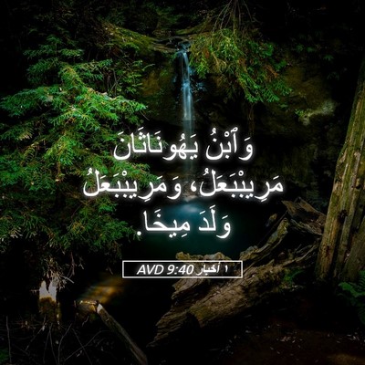 Picture 05 - ١ أخبار 9:40 AVD - وَٱبْنُ يَهُونَاثَانَ - Bible Verse Picture