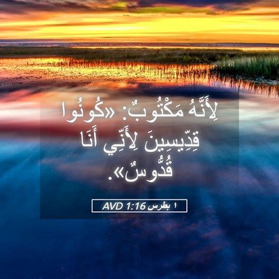 Picture 05 - ١ بطرس 1:16 AVD - لِأَنَّهُ مَكْتُوبٌ: - Bible Verse Picture