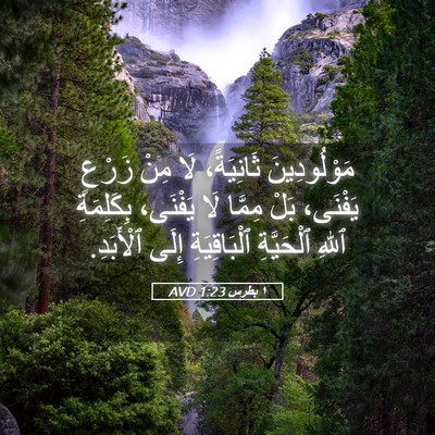 Picture 05 - ١ بطرس 1:23 AVD - مَوْلُودِينَ ثَانِيَةً، - Bible Verse Picture