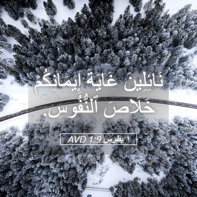 Picture 05 - ١ بطرس 1:9 AVD - نَائِلِينَ غَايَةَ - Bible Verse Picture