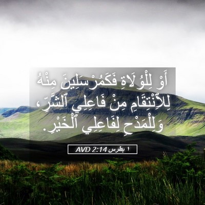 Picture 05 - ١ بطرس 2:14 AVD - أَوْ لِلْوُلَاةِ - Bible Verse Picture