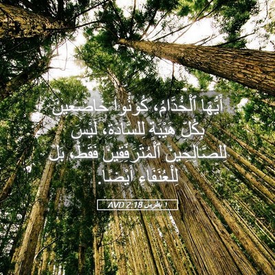 Picture 05 - ١ بطرس 2:18 AVD - أَيُّهَا ٱلْخُدَّامُ، - Bible Verse Picture