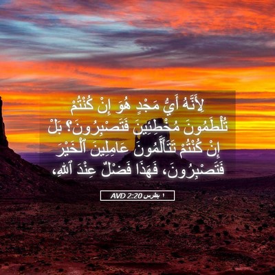 Picture 05 - ١ بطرس 2:20 AVD - لِأَنَّهُ أَيُّ مَجْدٍ - Bible Verse Picture
