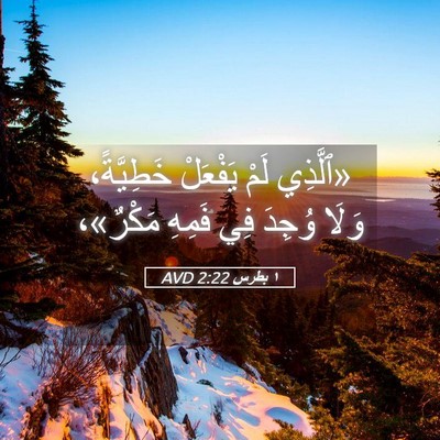 Picture 05 - ١ بطرس 2:22 AVD - «ٱلَّذِي لَمْ يَفْعَلْ - Bible Verse Picture