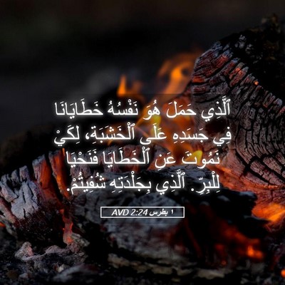 Picture 05 - ١ بطرس 2:24 AVD - ٱلَّذِي حَمَلَ هُوَ - Bible Verse Picture
