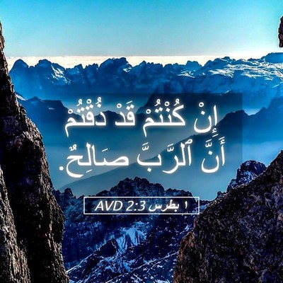 Picture 05 - ١ بطرس 2:3 AVD - إِنْ كُنْتُمْ قَدْ - Bible Verse Picture