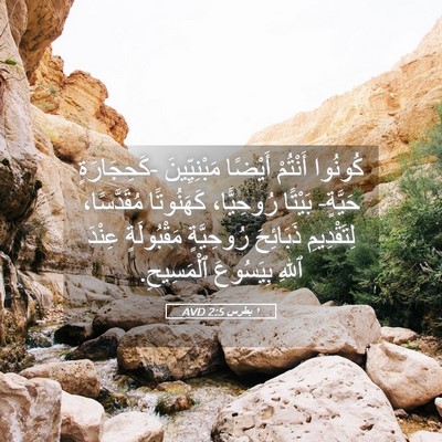 Picture 05 - ١ بطرس 2:5 AVD - كُونُوا أَنْتُمْ أَيْضًا - Bible Verse Picture
