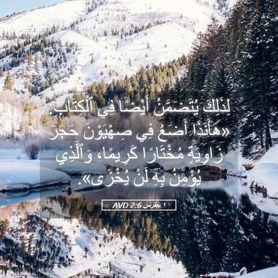 Picture 05 - ١ بطرس 2:6 AVD - لِذَلِكَ يُتَضَمَّنُ - Bible Verse Picture