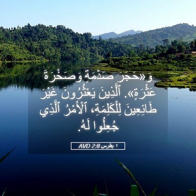 Picture 05 - ١ بطرس 2:8 AVD - وَ«حَجَرَ صَدْمَةٍ - Bible Verse Picture