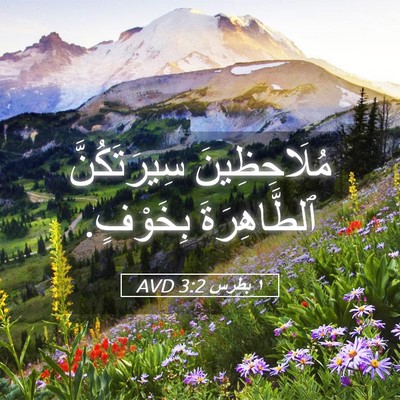 Picture 05 - ١ بطرس 3:2 AVD - مُلَاحِظِينَ سِيرَتَكُنَّ - Bible Verse Picture