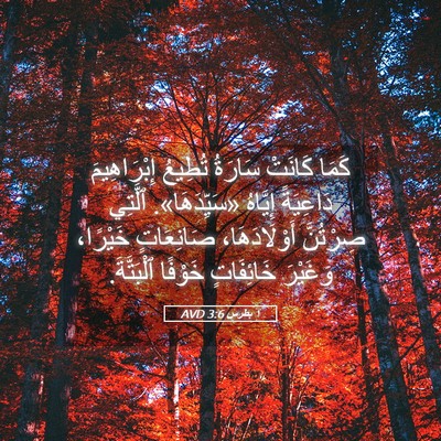Picture 05 - ١ بطرس 3:6 AVD - كَمَا كَانَتْ سَارَةُ - Bible Verse Picture