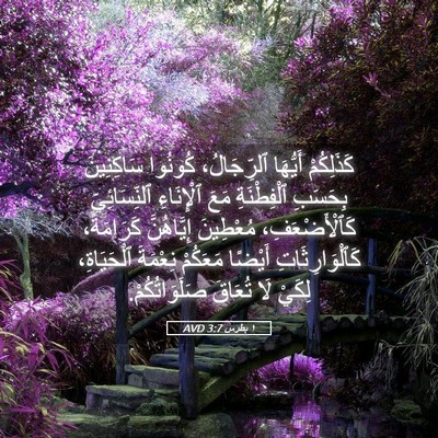 Picture 05 - ١ بطرس 3:7 AVD - كَذَلِكُمْ أَيُّهَا - Bible Verse Picture