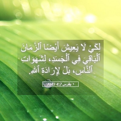 Picture 05 - ١ بطرس 4:2 AVD - لِكَيْ لَا يَعِيشَ أَيْضًا - Bible Verse Picture