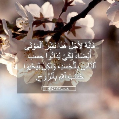Picture 05 - ١ بطرس 4:6 AVD - فَإِنَّهُ لِأَجْلِ هَذَا - Bible Verse Picture