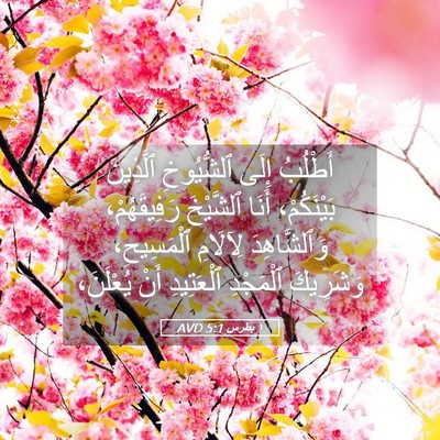 Picture 05 - ١ بطرس 5:1 AVD - أَطْلُبُ إِلَى ٱلشُّيُوخِ - Bible Verse Picture