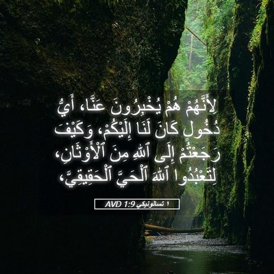 Picture 05 - ١ تسالونيكي 1:9 AVD - لِأَنَّهُمْ هُمْ - Bible Verse Picture