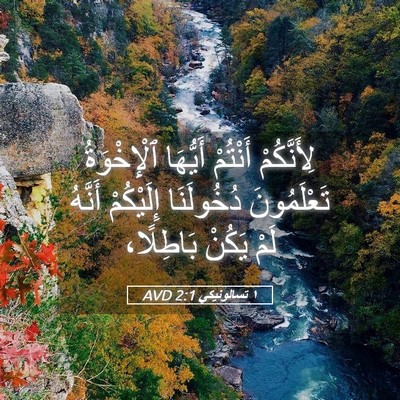 Picture 05 - ١ تسالونيكي 2:1 AVD - لِأَنَّكُمْ أَنْتُمْ - Bible Verse Picture
