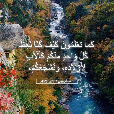 Picture 05 - ١ تسالونيكي 2:11 AVD - كَمَا تَعْلَمُونَ كَيْفَ - Bible Verse Picture