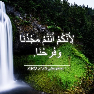 Picture 05 - ١ تسالونيكي 2:20 AVD - لِأَنَّكُمْ أَنْتُمْ - Bible Verse Picture