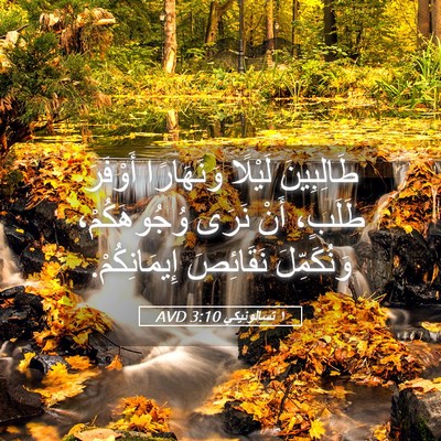 Picture 05 - ١ تسالونيكي 3:10 AVD - طَالِبِينَ لَيْلًا - Bible Verse Picture