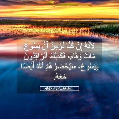 Picture 05 - ١ تسالونيكي 4:14 AVD - لِأَنَّهُ إِنْ كُنَّا - Bible Verse Picture