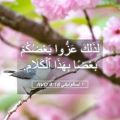 Picture 05 - ١ تسالونيكي 4:18 AVD - لِذَلِكَ عَزُّوا - Bible Verse Picture