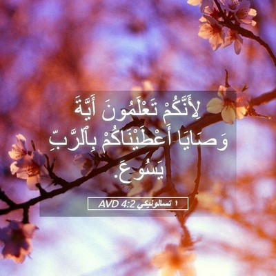 Picture 05 - ١ تسالونيكي 4:2 AVD - لِأَنَّكُمْ تَعْلَمُونَ - Bible Verse Picture