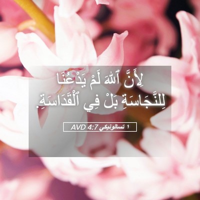 Picture 05 - ١ تسالونيكي 4:7 AVD - لِأَنَّ ٱللهَ لَمْ - Bible Verse Picture