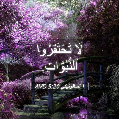 Picture 05 - ١ تسالونيكي 5:20 AVD - لَا تَحْتَقِرُوا - Bible Verse Picture