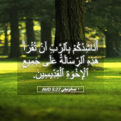 Picture 05 - ١ تسالونيكي 5:27 AVD - أُنَاشِدُكُمْ بِٱلرَّبِّ - Bible Verse Picture