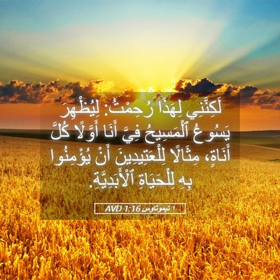 Picture 05 - ١ تيموثاوس 1:16 AVD - لَكِنَّنِي لِهَذَا - Bible Verse Picture