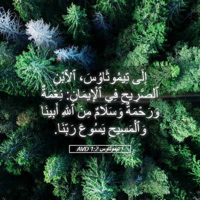 Picture 05 - ١ تيموثاوس 1:2 AVD - إِلَى تِيمُوثَاوُسَ، - Bible Verse Picture