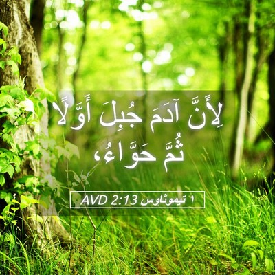 Picture 05 - ١ تيموثاوس 2:13 AVD - لِأَنَّ آدَمَ جُبِلَ - Bible Verse Picture