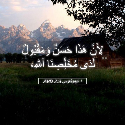 Picture 05 - ١ تيموثاوس 2:3 AVD - لِأَنَّ هَذَا حَسَنٌ - Bible Verse Picture