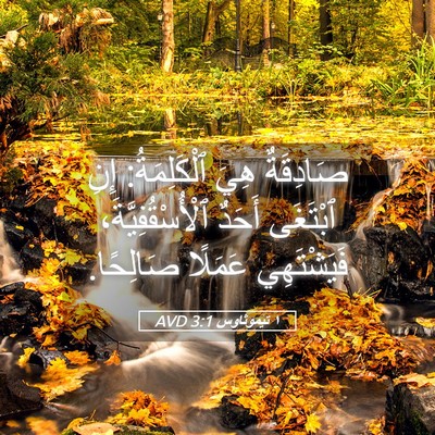 Picture 05 - ١ تيموثاوس 3:1 AVD - صَادِقَةٌ هِيَ - Bible Verse Picture
