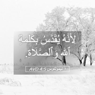Picture 05 - ١ تيموثاوس 4:5 AVD - لِأَنَّهُ يُقَدَّسُ - Bible Verse Picture