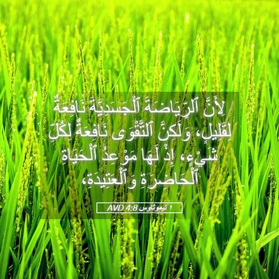Picture 05 - ١ تيموثاوس 4:8 AVD - لِأَنَّ ٱلرِّيَاضَةَ - Bible Verse Picture