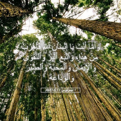 Picture 05 - ١ تيموثاوس 6:11 AVD - وَأَمَّا أَنْتَ يَا - Bible Verse Picture