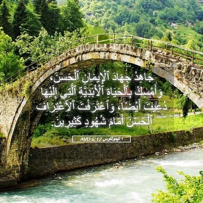 Picture 05 - ١ تيموثاوس 6:12 AVD - جَاهِدْ جِهَادَ - Bible Verse Picture