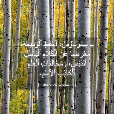 Picture 05 - ١ تيموثاوس 6:20 AVD - يَا تِيمُوثَاوُسُ، - Bible Verse Picture