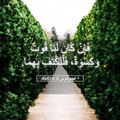 Picture 05 - ١ تيموثاوس 6:8 AVD - فَإِنْ كَانَ لَنَا قُوتٌ - Bible Verse Picture