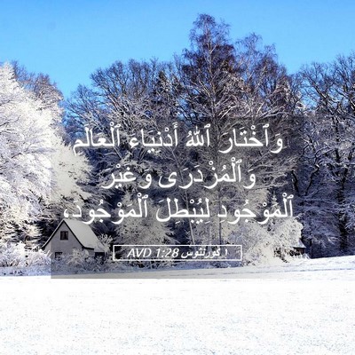 Picture 05 - ١ كورنثوس 1:28 AVD - وَٱخْتَارَ ٱللهُ - Bible Verse Picture