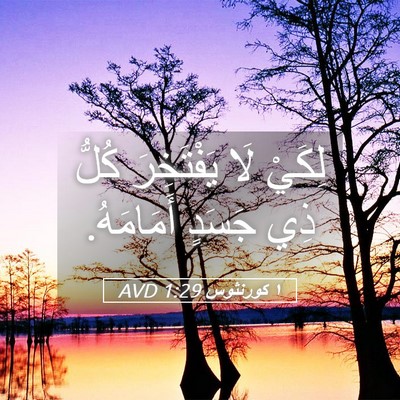 Picture 05 - ١ كورنثوس 1:29 AVD - لِكَيْ لَا يَفْتَخِرَ - Bible Verse Picture