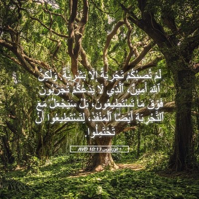 Picture 05 - ١ كورنثوس 10:13 AVD - لَمْ تُصِبْكُمْ - Bible Verse Picture