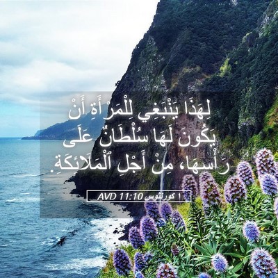 Picture 05 - ١ كورنثوس 11:10 AVD - لِهَذَا يَنْبَغِي - Bible Verse Picture