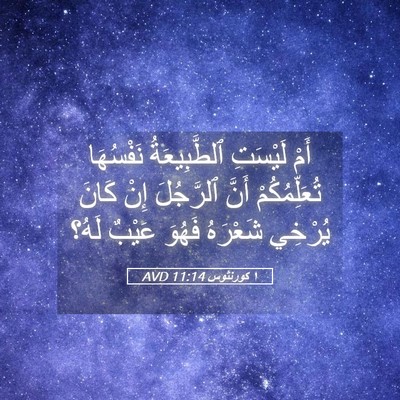 Picture 05 - ١ كورنثوس 11:14 AVD - أَمْ لَيْسَتِ - Bible Verse Picture
